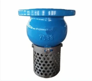 Industrial Ductile Iron Water Pump Flanged Bottom Valve Foot Valve