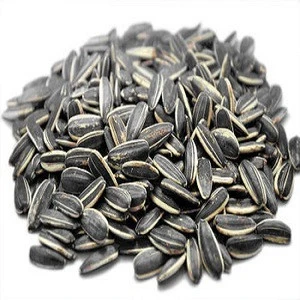 Inner Mongolia organic Confectionary sunflower seeds kernel