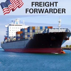 International Regular Freight Shipping Agent from China to USA