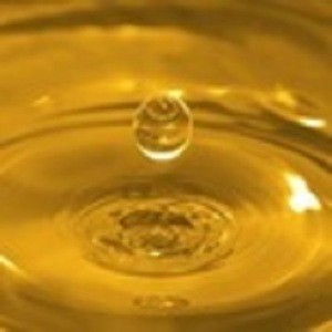 jatropha oil ,jatropha oil biodiesel Crude & Refined
