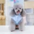 Import Keep warm vintage cotton vest simply dog winter apparel from China