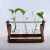 Import Large creative hydroponic plant transparent glass vase wooden frame vase from China