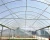 Import Large size multi-span steel structure plastic film greenhouse and tomato greenhouse and vegetable greenhouse with hydroponics from China