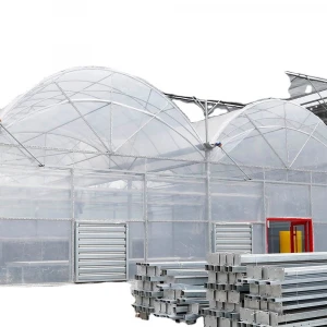 lettuce system hydroponic green house,agriculture,used commercial greenhouses