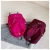 Import Lightweight travel dry wet separation backpack with shoes compartment beach swimming school backpack from China