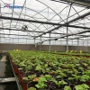 Low Cost Pe Film Easy To Install Hydroponics System Greenhouse Lowest Price Multi-Span Greenhouses