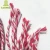 Import LZ open end color white floor wet mop yarn weaving cotton yarn for mop from China