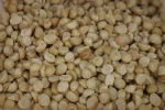 MACADAMIA NUTS