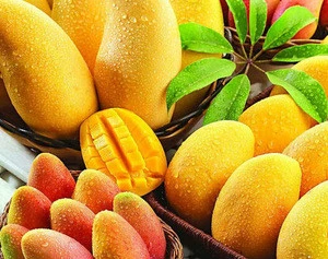 Mango juice with mixed pulp