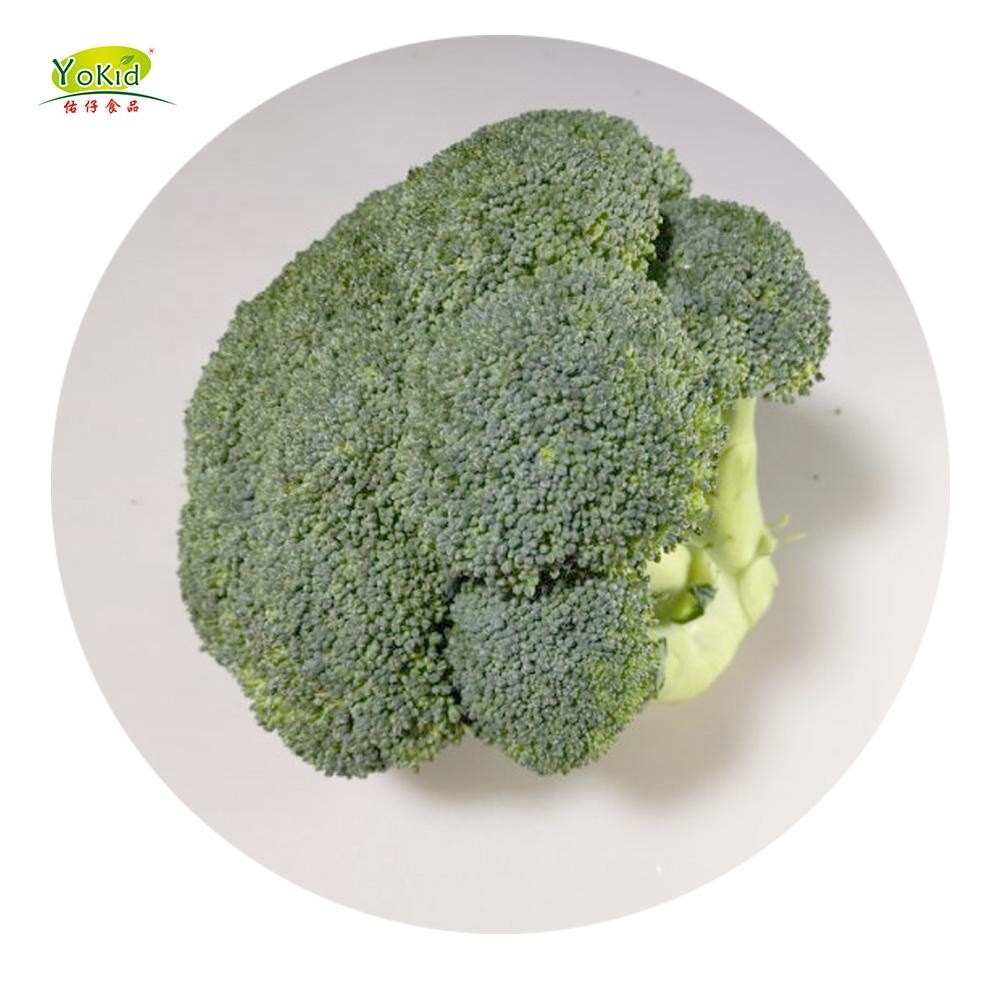 Market Price For Fresh Vegetable Shape 1 floret Broccoli
