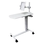 Medical Mobile Overbed Table Patient Tablet Cart Case for iPad 10.2