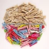Mini Wooden Craft Clothes Pegs in Natural and Multicolour