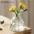 Import MONAZONE Transparent Glass Flower Vase Water Planting Vessel Living Room Home Decoration Glass Vase from China