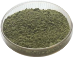 Moringa Leaf Extract Powder Organic,Organic Moringa Leaf Powder