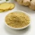 Import Most Popular Taste Seasoning Powder Food Seasoning Garlic /ginger powder Food Seasoning For sale from China