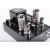 Import Musical Paradise MP-301 MK3 Mini Tube Amplifier with Headphone Output (Deluxe) 6L6+6J8P from China