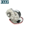 MY1016Z Cheap Price Custom 12V 250W Electrical Vehicle Brushed DC Motor with speed controller