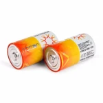 Naccon Professional Design Customized 14000mAh Am1 Lr20 1.5V D Size Primary Alkaline Bateria Batteries