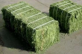 Natural Cattle Alfalfa Hay Animal Feed for sale