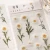 Import Natural Daisy Clover Japanese Words Stickers Transparent PET Material Flowers Leaves Plants Decoration Stickers from China