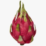 NATURAL FRESH PINKY-RED DRAGON FRUITS
