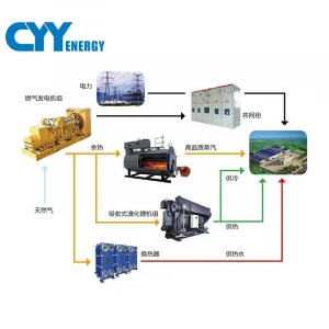 natural gas power generation system
