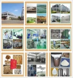 natural plant extract tribulus terrestris extract 5:1 10:1 20:1
