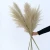 Natural Reed Wild Plant Pink Big Pampas Grass Home Decor Dried Flowers Bouquet Wedding Ceremony Decoration Christmas Modern Art