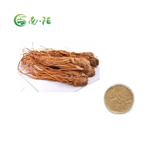 New arrival Angelica Health Herb Powder Organic Plant Extract For Enhance The Immune System