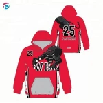 New Design Custom Embroidery Pullover Sweatshirt Hoodie