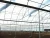 Import New Products Single Span Plastic Film vegetable greenhouse from China