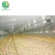 New Type poultry equipment and husbandry Chicken feeding Line for Farm