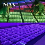New Wholesale Price Led Dancing 3d Floor Dj Disco Stage Light
