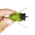 Import Newbility lure factory 50mm 6g hard plastic insect cicada fishing lure from China
