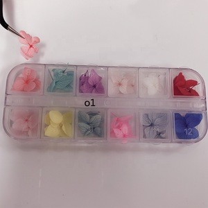 OEM Product  Hot Selling 1 Box DIY Manicure Flowers Nail Art Decorations For Nail Supplies All For Nail Art Accessories Tools