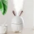 Import OEM rabbit cute personalusb mini  portable  ultrasonic aroma diffuser air humidifier from China