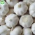 Import organic 10kg packing garlic fresh snow white garlic from China