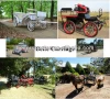 Other horse products for horse carriage driving