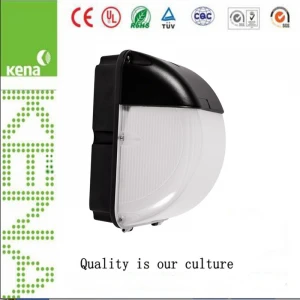 outdoor/indoor 30W 120LM/W wall mounted wall pack led lights led wall pack