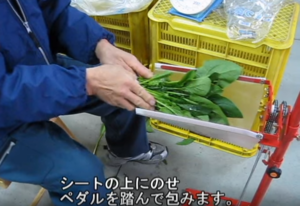 Packing vegetable by plastic bag for Supermarket