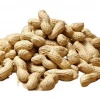peanuts bulk wholesale raw red skin peanut kernel with factory price