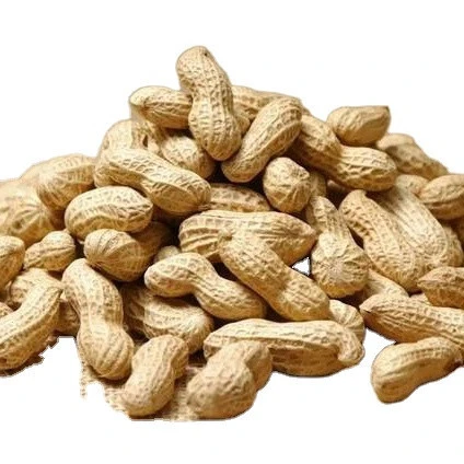 peanuts bulk wholesale raw red skin peanut kernel with factory price