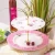 Import pink color with white point ceramic fine bone china dinnerware set from Pakistan