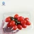 Import Plastic Fruit Salad Packaging Container Fruits Box Plastic Fruit Container Plastic Hot Selling from China