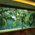 Import Pop 3D pvc ceiling wall panel interior decorative from China