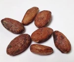 Premium cocoa bean high quality extract powdered cocoa bean