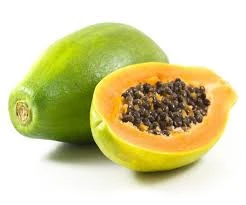 Premium Grade Fresh green papaya