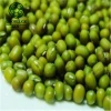 Price of Dried Green Mung Beans/Masoor Dal/ Green Moong Beans