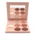 Import Private label 9 colors cruelty free highlighter and contour palette from China