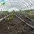 Import Professional manufacturers agriculture intelligent film greenhouse from China